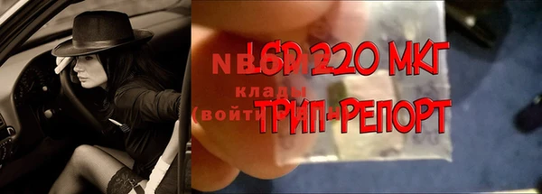 мяу мяу мука Медвежьегорск