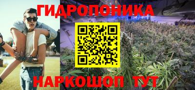 СК Обнинск
