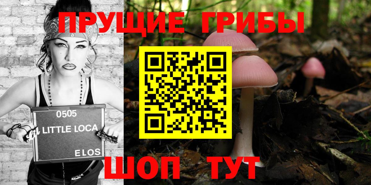 Псилоцибиновые грибы Cubensis Смоленск