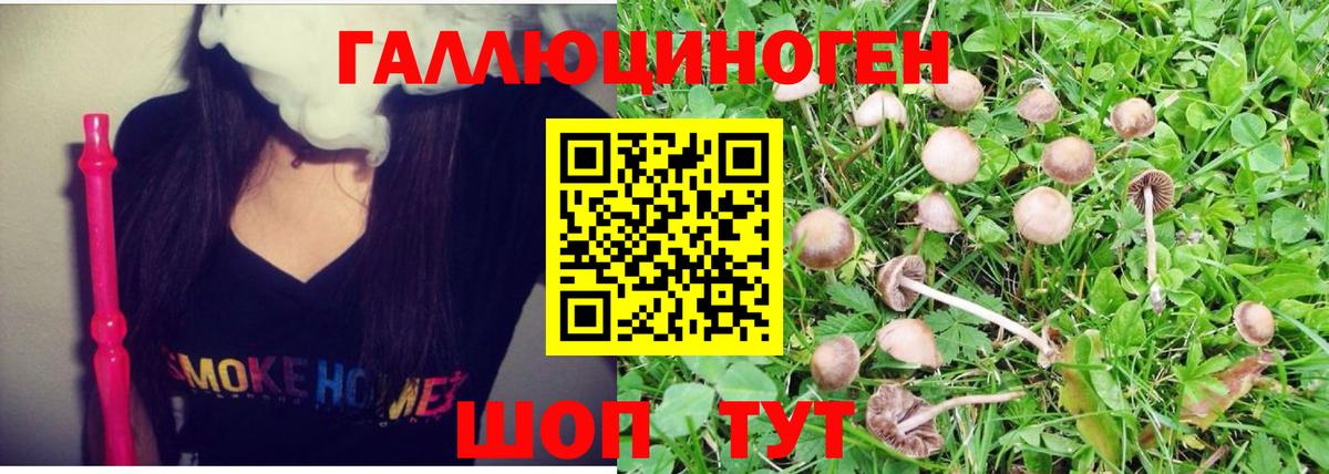 Галлюциногенные грибы Psilocybine cubensis  Галлюциногенные грибы Magic Shrooms  Вход с VPN  Смоленск 